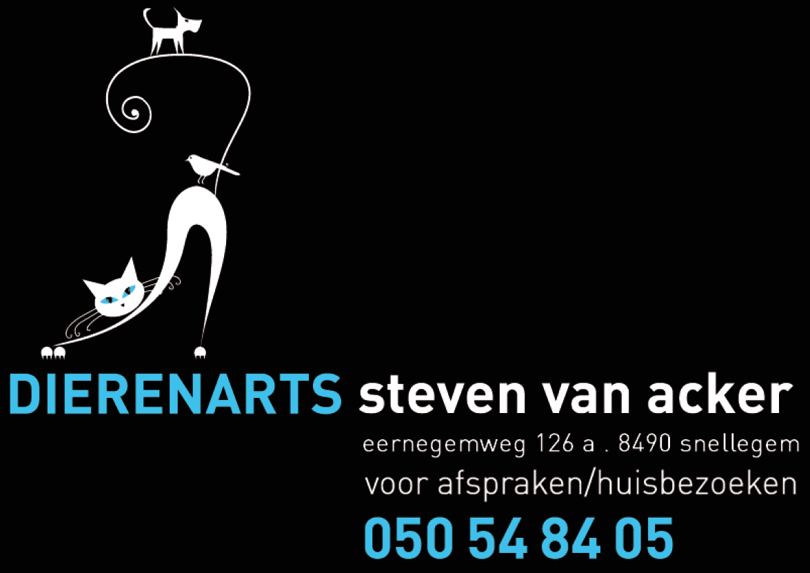 Dierenarts